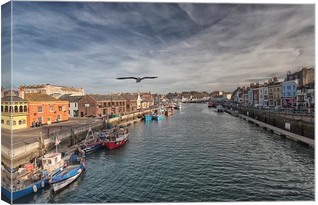  Weymouth Harbour. Canvas Print by Mark Godden