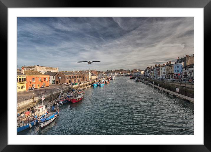  Weymouth Harbour. Framed Mounted Print by Mark Godden