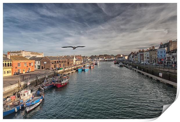  Weymouth Harbour. Print by Mark Godden