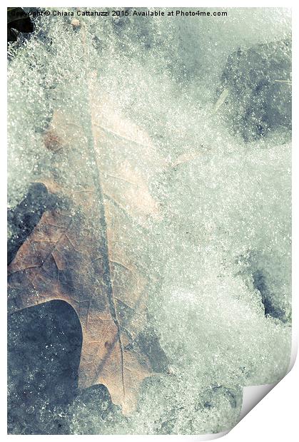  Frozen leaf Print by Chiara Cattaruzzi