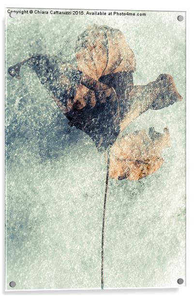 Frozen leaf Acrylic by Chiara Cattaruzzi