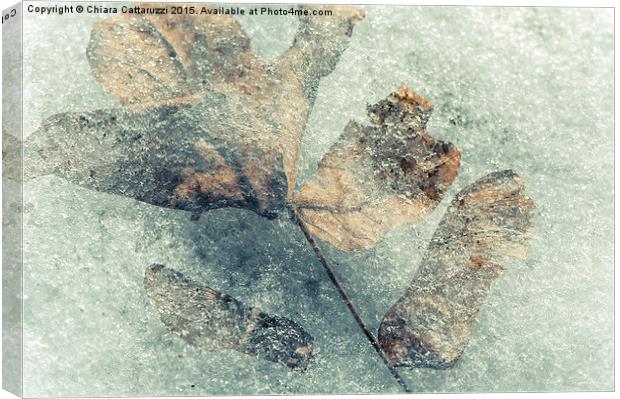  Frozen leaves Canvas Print by Chiara Cattaruzzi