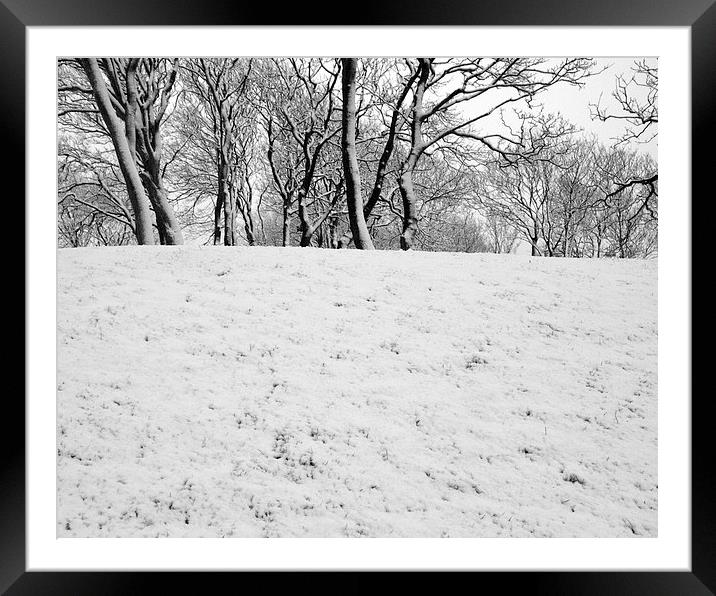 Trees in Snow Framed Mounted Print by Victor Burnside