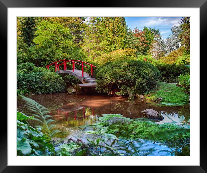  Red Bridge Calm Garden Framed Mounted Print by Jonah Anderson Photography