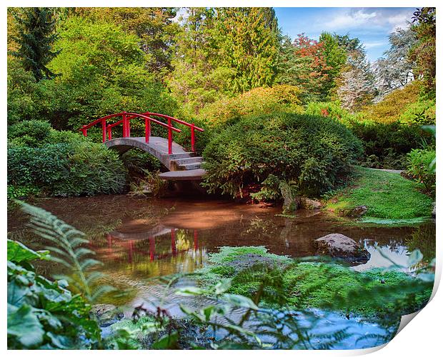  Red Bridge Calm Garden Print by Jonah Anderson Photography