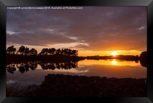 Summer Sunset  Framed Print by Lynne Morris (Lswpp)