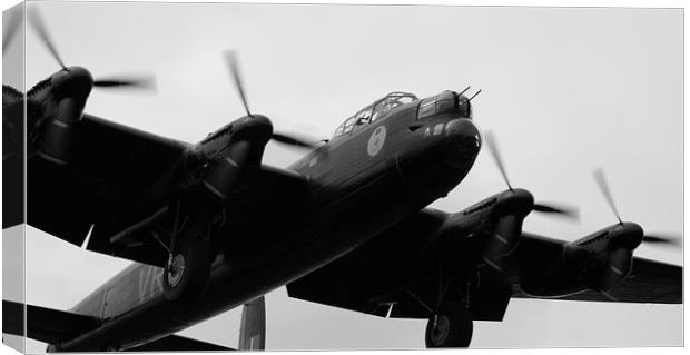 VeRA coming Home Canvas Print by Squawk Photography