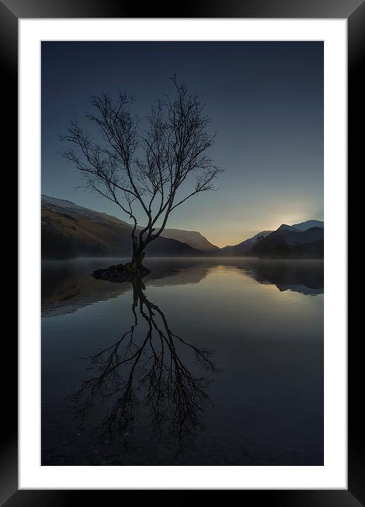  The Lone Tree Framed Mounted Print by Jed Pearson