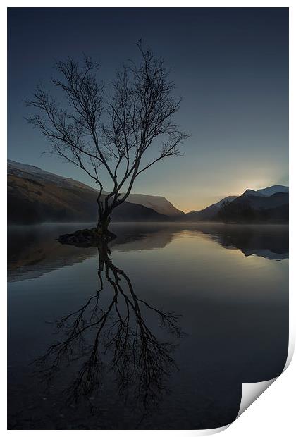  The Lone Tree Print by Jed Pearson