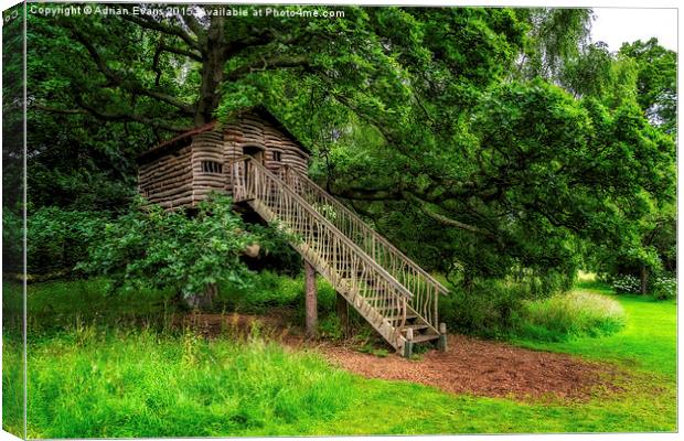 The Treehouse Canvas Print by Adrian Evans