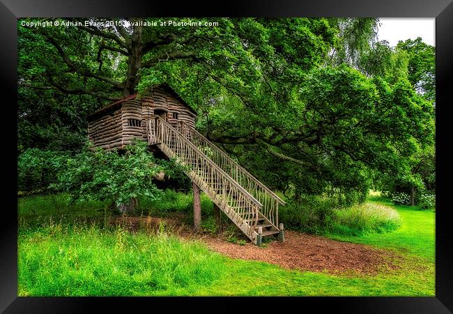 The Treehouse Framed Print by Adrian Evans