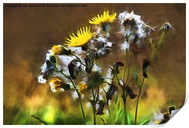  Ragwort Life Cycle with artistic filter Print by Jim Jones