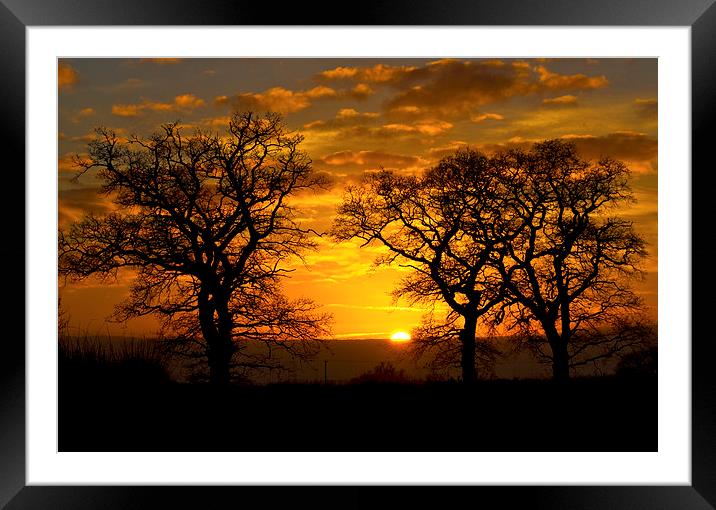  New year Sunset Framed Mounted Print by Darren Burroughs