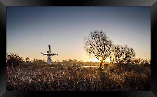  Thurne Windmill at Dawn Framed Print by Darren Carter