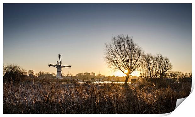  Thurne Windmill at Dawn Print by Darren Carter