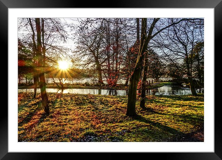  Winter Sun Framed Mounted Print by P H
