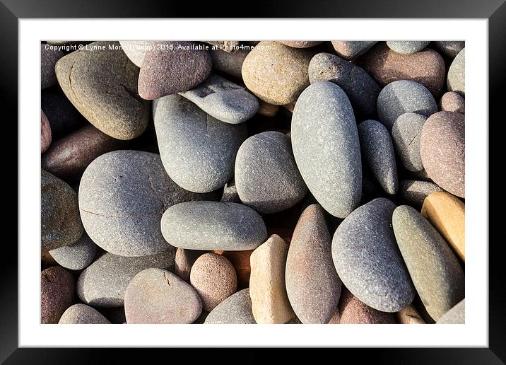 Beach Pebbles  Framed Mounted Print by Lynne Morris (Lswpp)