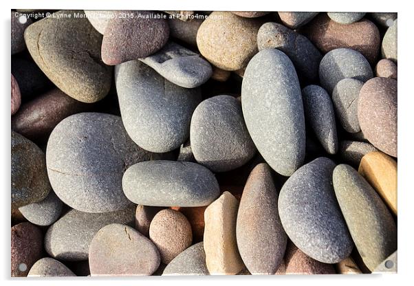  Beach Pebbles  Acrylic by Lynne Morris (Lswpp)