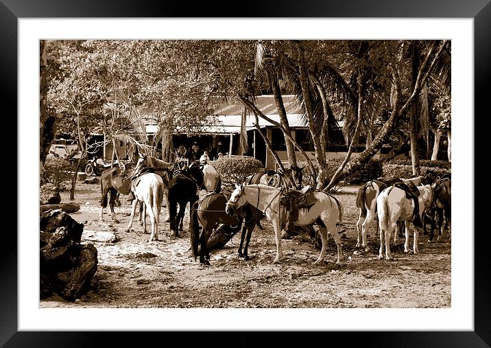  Lunch at the Ranch Framed Mounted Print by james balzano, jr.