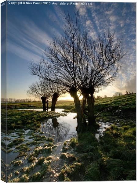 Willow Trees Canvas Print by Nick Pound