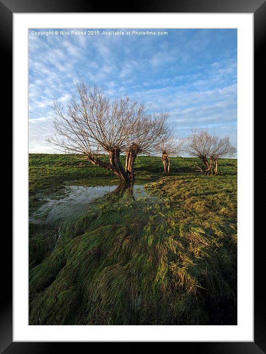 Willow Trees Framed Mounted Print by Nick Pound