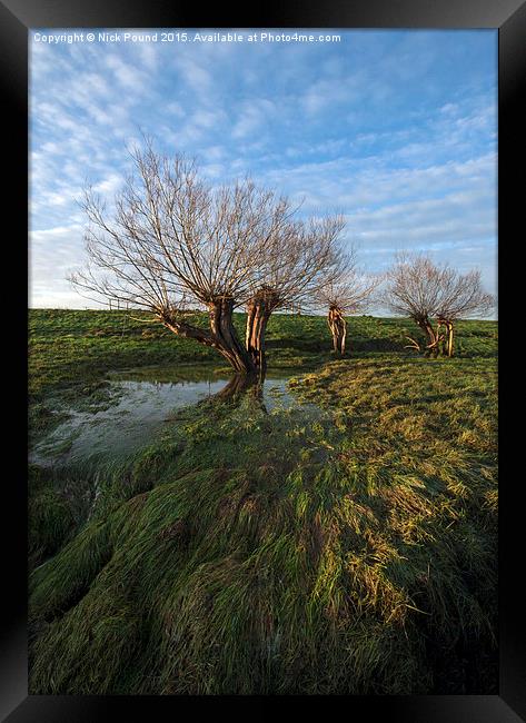 Willow Trees Framed Print by Nick Pound