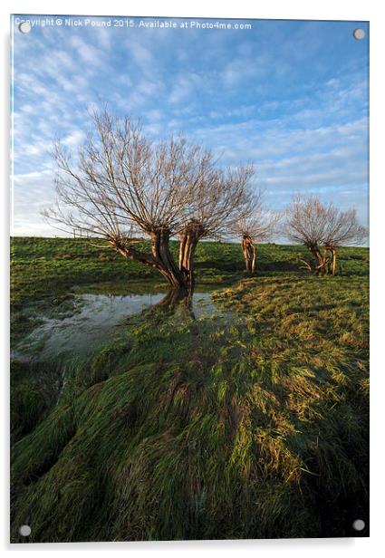 Willow Trees Acrylic by Nick Pound