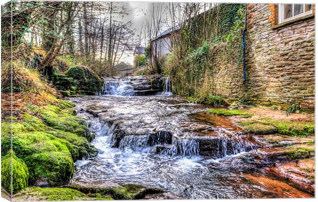 Talgarth Waterfall 3 Canvas Print by Steve Purnell