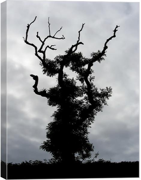 Gothic Tree Canvas Print by Mary Lane