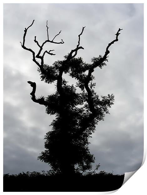 Gothic Tree Print by Mary Lane