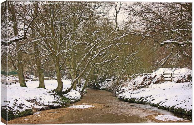  FOREST STREAM IN THE SNOW Canvas Print by Anthony Kellaway