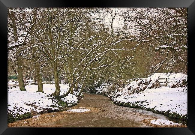  FOREST STREAM IN THE SNOW Framed Print by Anthony Kellaway
