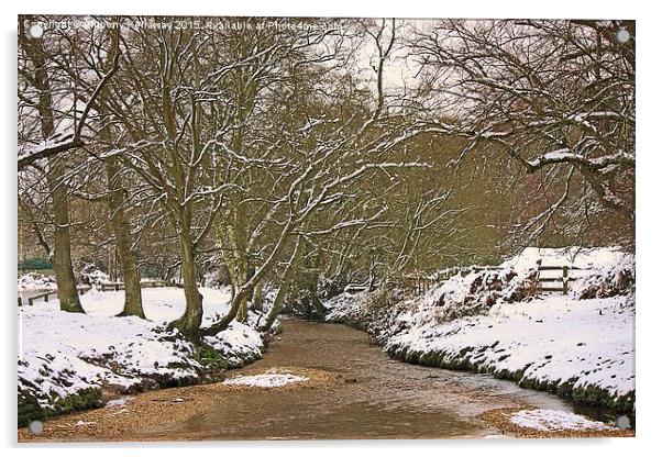  FOREST STREAM IN THE SNOW Acrylic by Anthony Kellaway