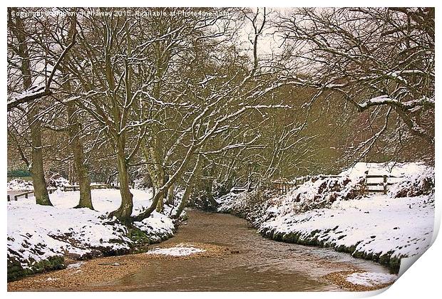  FOREST STREAM IN THE SNOW Print by Anthony Kellaway