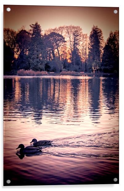  Ducks on the Pond.  Acrylic by Becky Dix