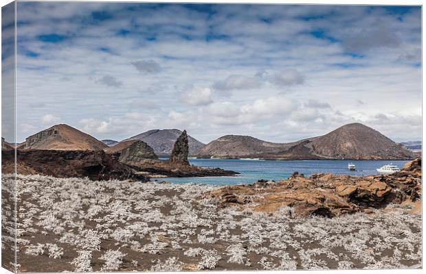 Bartolome Island - Galapagos Canvas Print by Gail Johnson