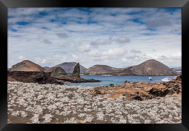  Bartolome Island - Galapagos Framed Print by Gail Johnson
