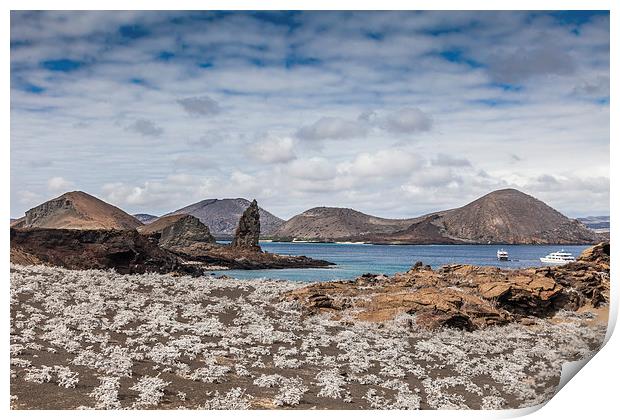  Bartolome Island - Galapagos Print by Gail Johnson