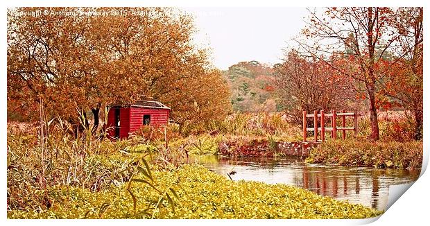  RIVER ITCHEN FISHING HUT Print by Anthony Kellaway