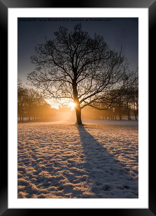 Winter Light & Shadows  Framed Mounted Print by Tracey Whitefoot