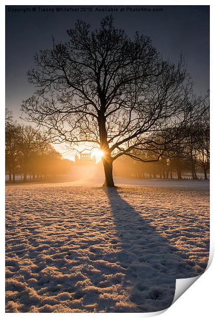 Winter Light & Shadows  Print by Tracey Whitefoot