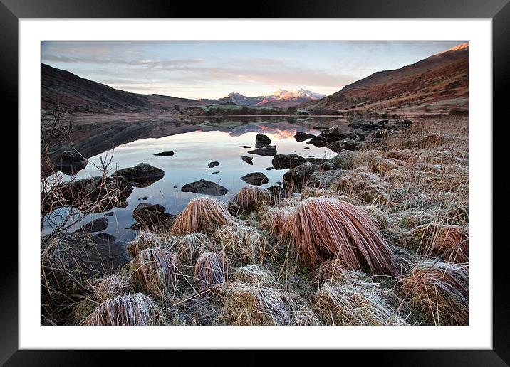  Frosty grass Framed Mounted Print by Rory Trappe