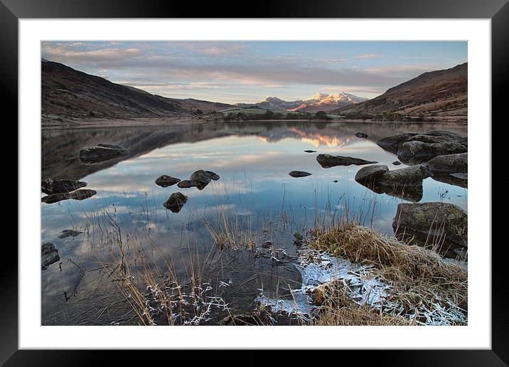  On thin ice Framed Mounted Print by Rory Trappe