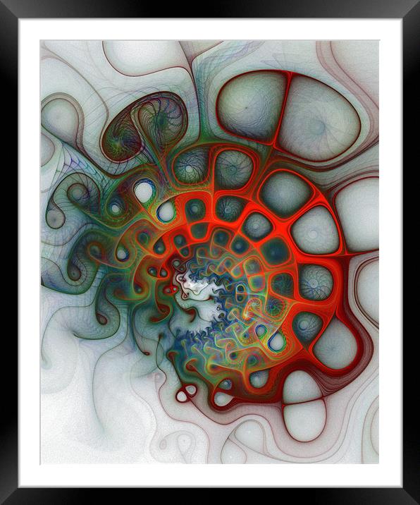 Convolutions Framed Mounted Print by Amanda Moore