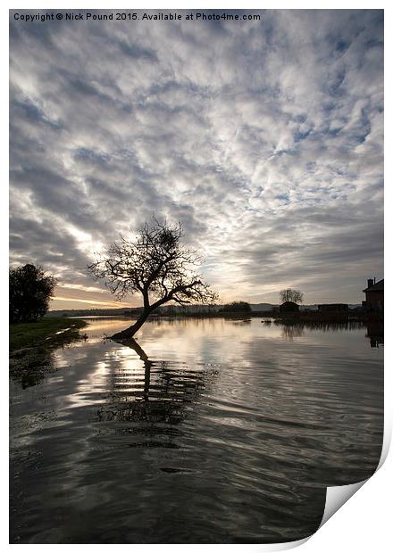 The River Parrett in Flood Print by Nick Pound