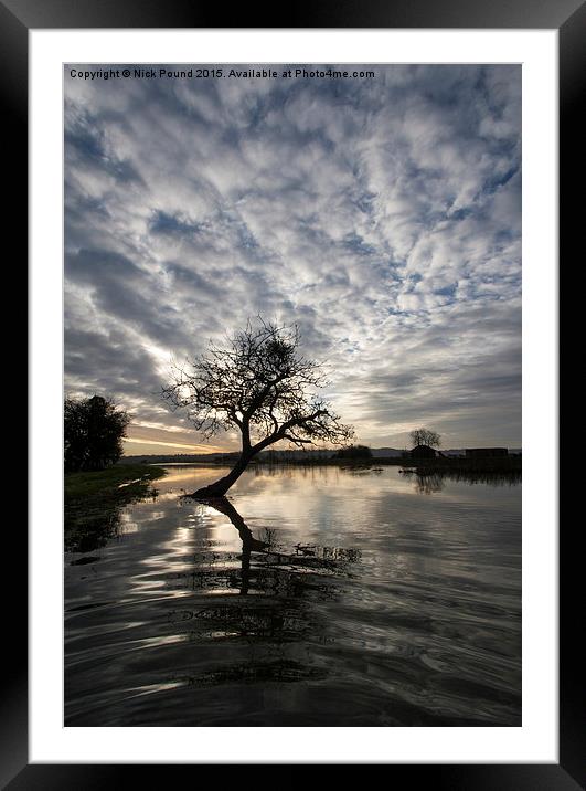 The River Parrett in Flood at sunrise Framed Mounted Print by Nick Pound