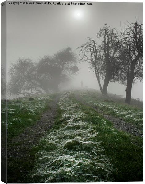  Cobwebs on a Cold Morning Canvas Print by Nick Pound