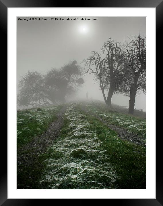  Cobwebs on a Cold Morning Framed Mounted Print by Nick Pound