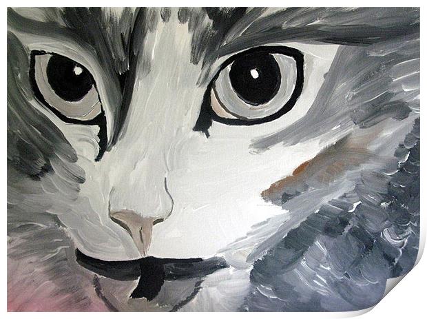 cats angry eyes painting Print by JEAN FITZHUGH