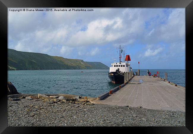 Lundy Island Jetty  Framed Print by Diana Mower